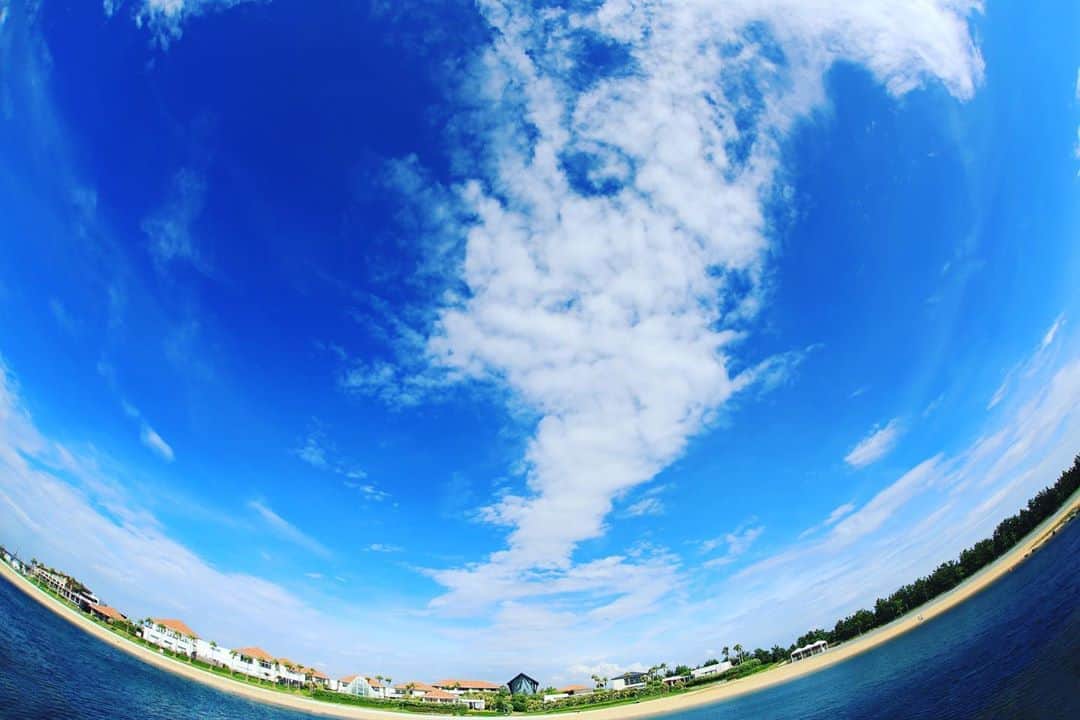 17人をフォロー中 【結婚式場】ラヴィマーナ神戸ウエディングのグルメインスタ