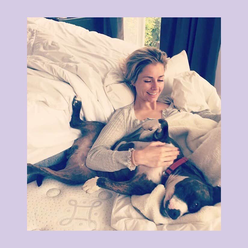 のインスタグラム：「#nationaldogday  Our Lilly is a good girl!」