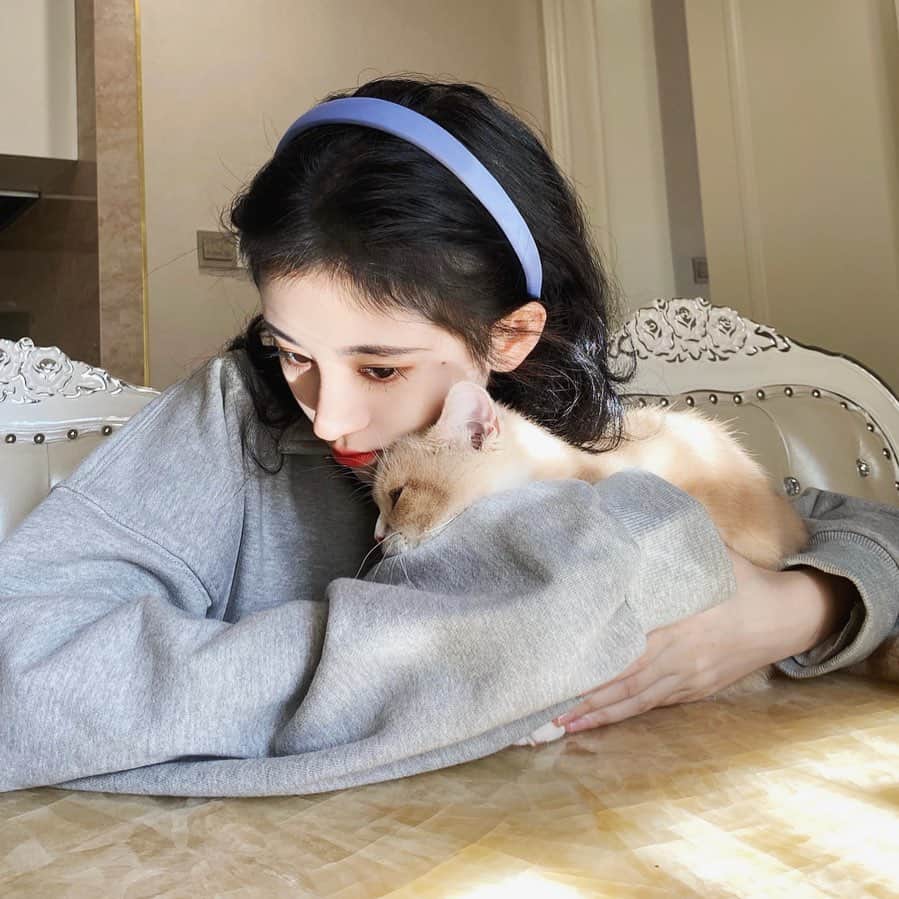 ジュー・ジンイー（キクちゃん）のインスタグラム：「🐱」