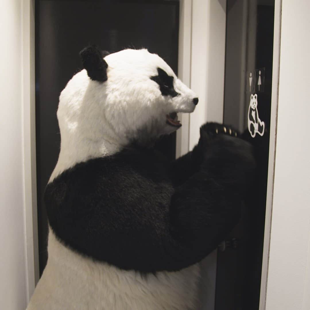 星星（セイセイ）さんのインスタグラム写真 - (星星（セイセイ）Instagram)「🚻💦💦 #パンダ用トイレ  #誰入ってるの..!? #ピンチ  #みんなはドンドンしちゃダメだよ . きょうの #ベラベラENGLISHは ...💯 🌟It's  slippery! 🌟すべりやすい！ . 金曜日だね✨ 今週もお疲れ様ー！🐼 . #星星 #パンダ #panda #pandagram #パンダ好きな人と繋がりたい #ZIP!」8月28日 11時03分 - seisei_panda