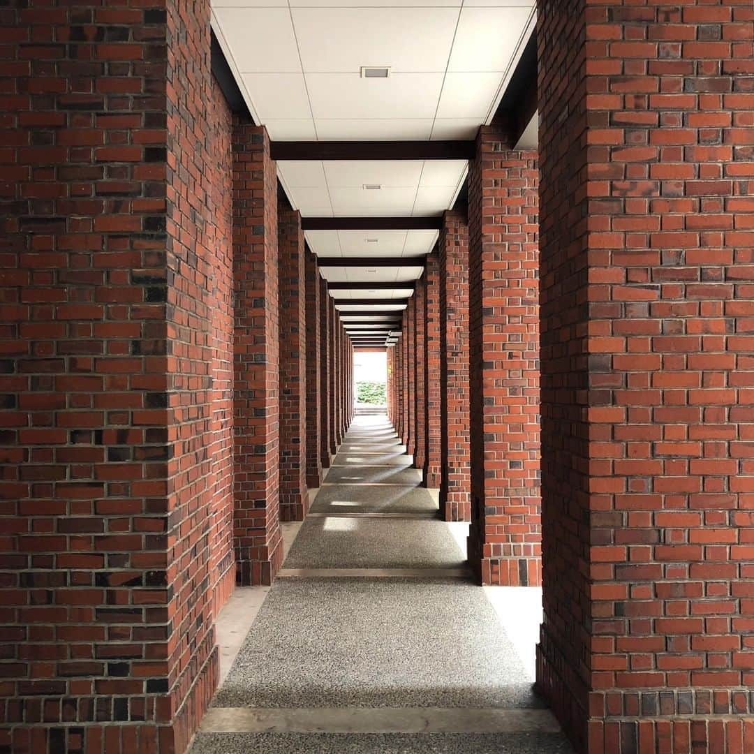 立教大学さんのインスタグラム写真 - (立教大学Instagram)「#rikkyouniversity #立教 #立教大学 #ikebukuro #池袋 #coregraphy #photography #ファインダー越しの私の世界  Photo by @_fuji.film_」8月28日 11時00分 - rikkyouniv