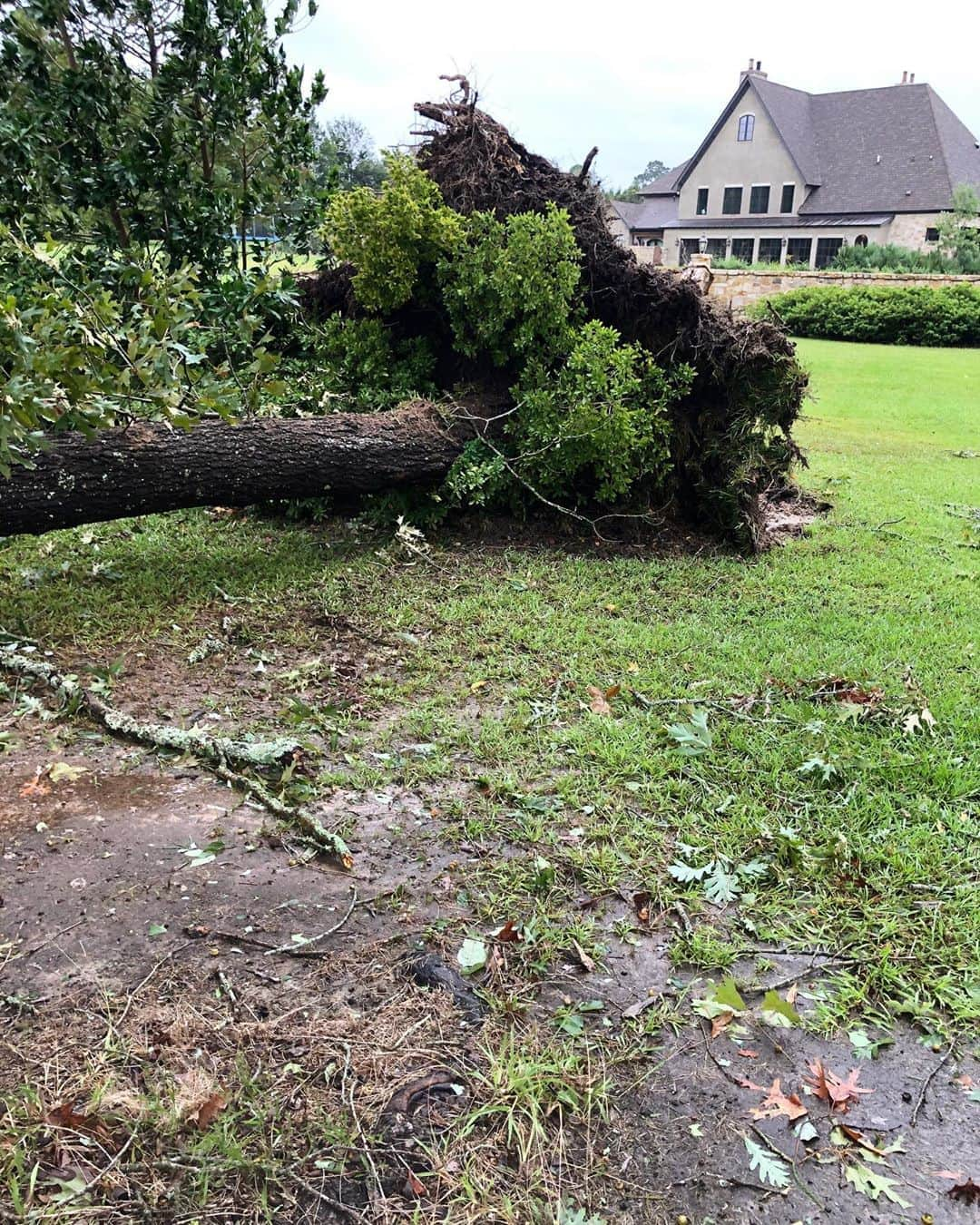 コリー・ロバートソンさんのインスタグラム写真 - (コリー・ロバートソンInstagram)「Thank you so much for all of your prayers today during the hurricane. I know all of Louisiana felt so much love and support! We are okay here, lots of trees down, and power outages, but thankfully nobody in our family hurt and nothing seriously destroyed. Please continue to lift up the many who have lost so much 🙏🏻 So devastating!   If you’d like to help, you can text the word LAURA to 90999 to donate $10 to @americanredcross or visit redcross.org #hurricanelaura」8月28日 11時27分 - bosshogswife