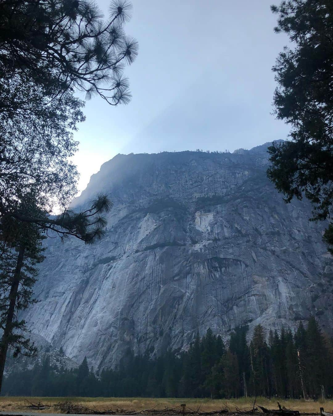 コンスタンス・ジマーさんのインスタグラム写真 - (コンスタンス・ジマーInstagram)「Taking some deep breaths. #yosemite」8月28日 11時33分 - constancezimmer