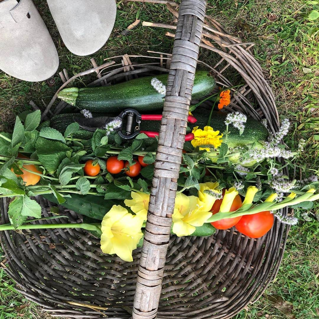 マーシャ・ゲイ・ハーデンのインスタグラム：「Self portrait  #bounty #garden #gladiolas #tomato #zucchini #cucumber #birkenstocks」