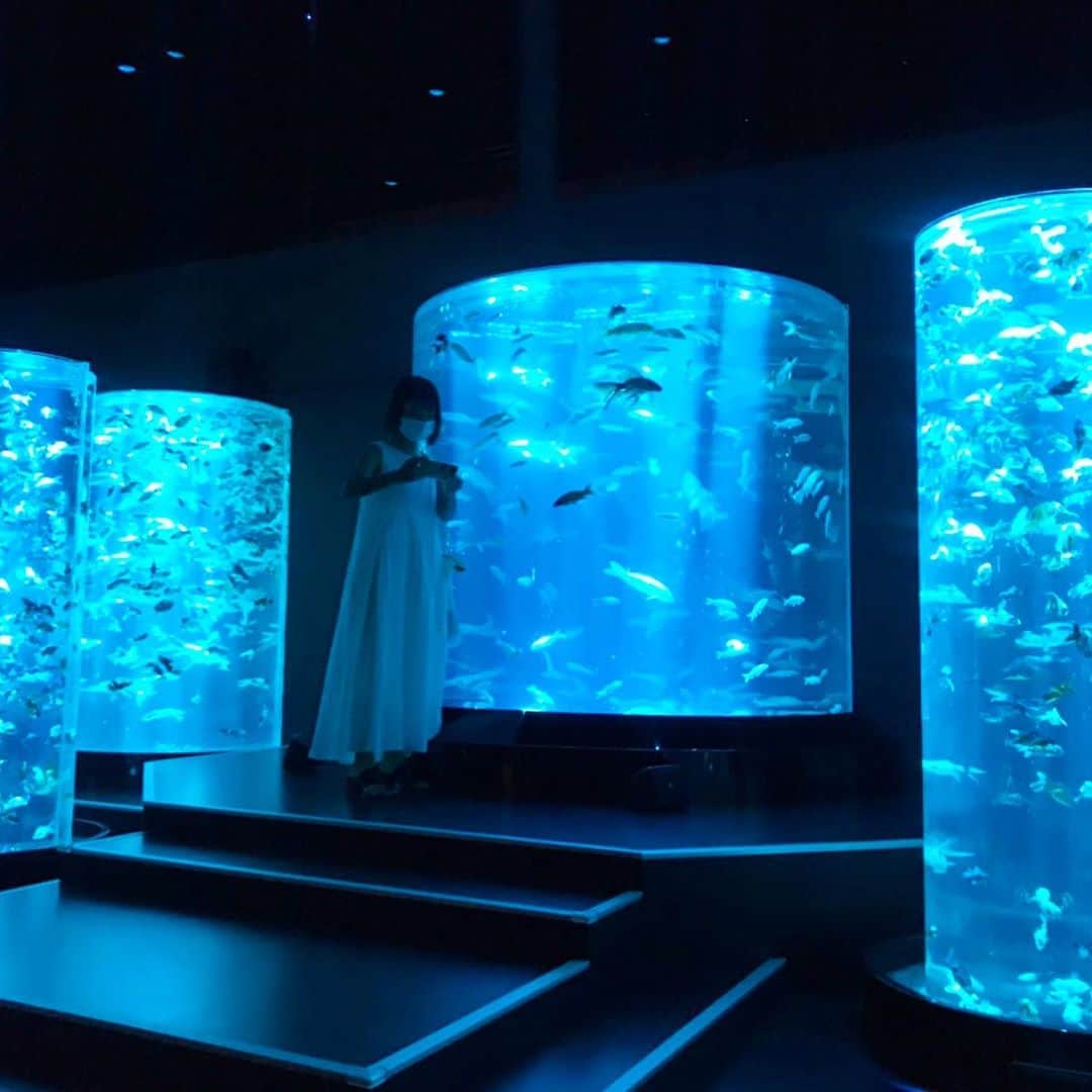 Aya（高本彩）さんのインスタグラム写真 - (Aya（高本彩）Instagram)「先日、8/28から開催される〝ART AQUARIUM MUSEUM〟の内覧会へ行ってきました。 たくさんの金魚たちが光、音、香りなどの演出と共に水槽の中で綺麗に舞っていて、見惚れてしまいました。  @artaquarium_official  #artaquarium#生命の宿る美術館#photobyaya#金魚#アートアクアリウム美術館#江戸の文化が花開いた街#日本橋」8月28日 12時15分 - aya_dream04