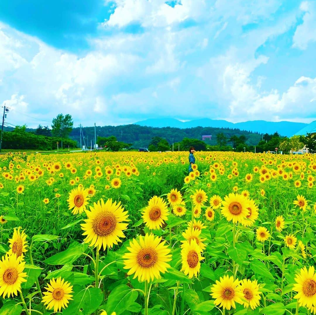 瀬野ユリエのインスタグラム：「夏の思い出🌻☀️🍦💓 #遅れてきた夏休み#夏旅#はぴはぴ #マイナスイオン#癒し」