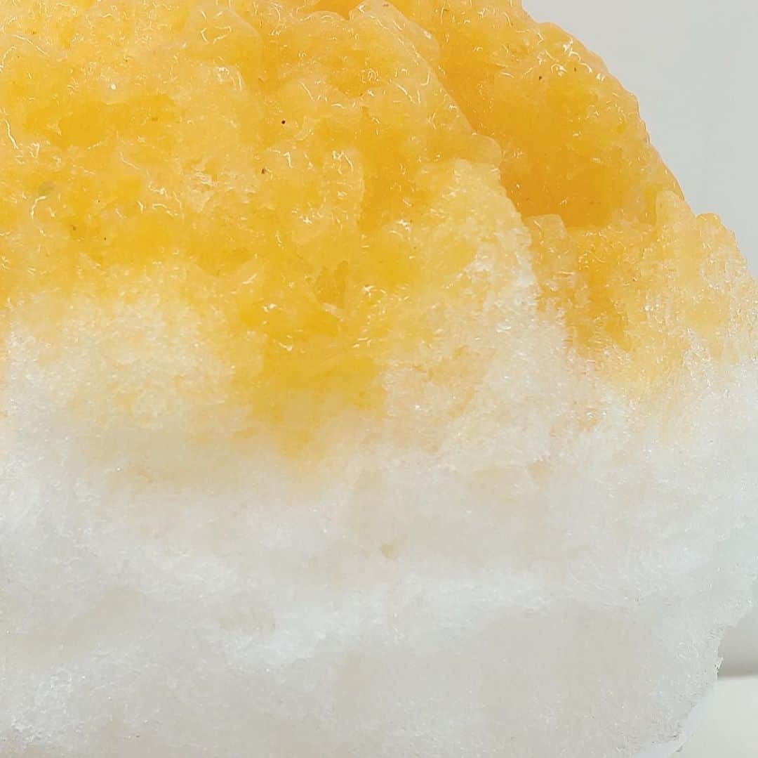 まゆみあずさのグルメインスタ