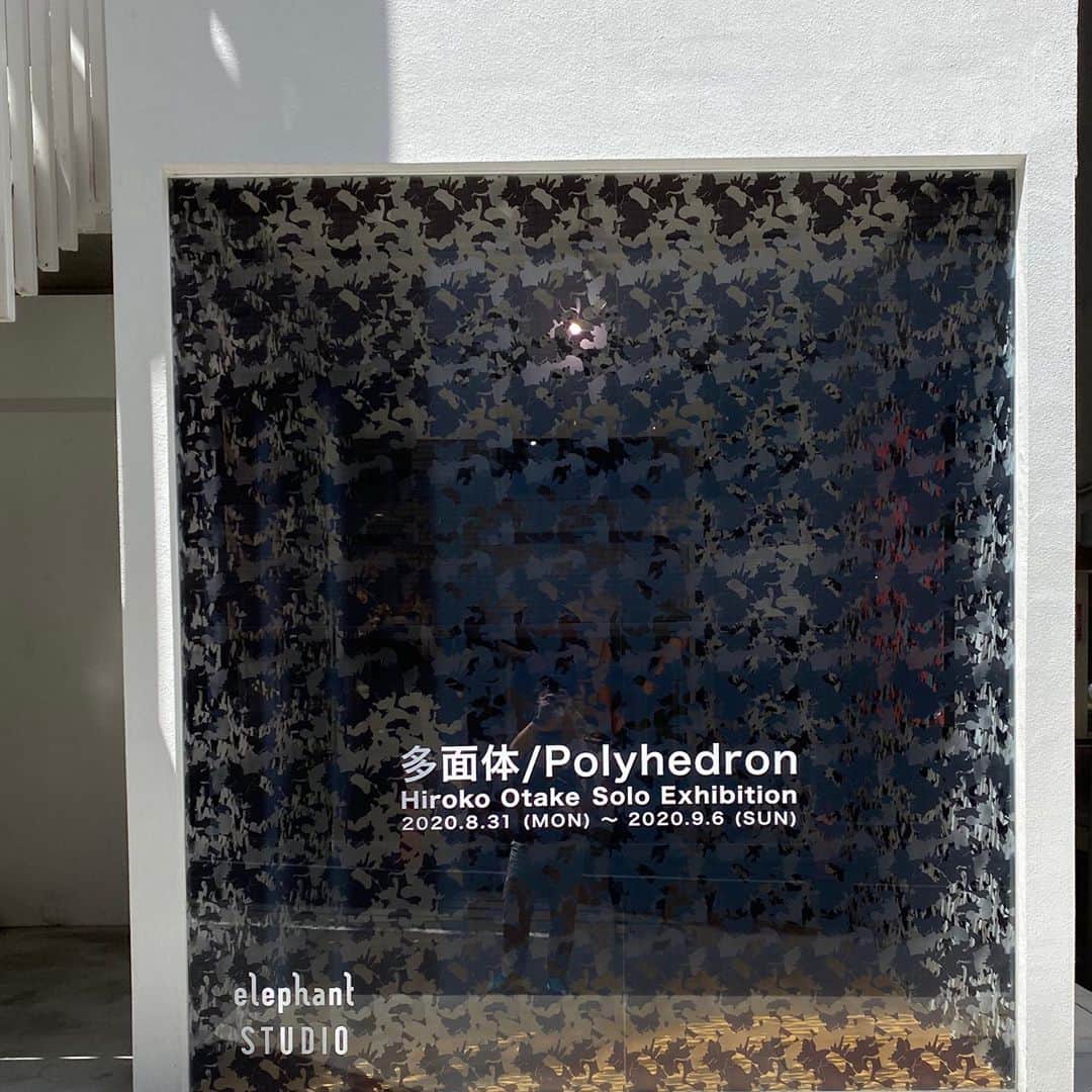 林信行さんのインスタグラム写真 - (林信行Instagram)「#Polyhedron by @HirokOtake starts Aug 31st. @elephantstudiojapan  8月31日から #ElephantStudio で日本画家 大竹寛子さんの個展 「 多面体 — Polyhedron 」が始まります。一足先にプレビューに行ってきました。 大竹寛子さんと言えば思い浮かぶ「花」や「蝶」と言ったモチーフ。  今回はそれがキャンバスの中だけでなく、ギャラリーの外壁、内壁をも埋め尽くしていて、ギャラリーでの個展と聞いて、ホワイトキューブに四角い絵が並べられているのを想像していた人はまずここで圧倒されそうです。  ギャラリーに入ると、壁を埋め尽くす蝶と花のウォールプリントに、プリントの元になった絵がまるで擬態するように飾られています。このエントランスの展示がなんともステキ。他の時間帯ではどう見えたかわかりませんが、ぜひ、晴れた日の日中の光で見て欲しい。とてもステキでした！  そこからギャラリーの奥に進むにつれ、作品のモチーフだけでなく、絵が描かれたキャンバスも丸くなったり、斜めになったりと変化を始めます。 大竹さんの作品と言えばテーマは「流動的な瞬間の中の恒常性」。「蝶よ、花よ」と言われるけれど、そのいずれも常に姿を変えうつろい続けるはかない存在でありながら、姿は変われど変わらない本質もどこかに隠し持っている。 同様にこの個展も、まるで美術館の展覧会のようなパワーを持つ展示で、歩を進めるにつれてどんどん作品が変化していくのだけれど、そのどこかに通底する大竹ワールドを感じます。 そんなことを考えながらギャラリー全体を俯瞰すると、この展示空間全体が１つの巨大作品であるかに見えてきます（いや、実際そうです）。  と、満足していると「実は２階があります」との情報。 階段を昇って２階のギャラリーに足を踏み入れると、そこはまったく別の銀世界。 蛍光灯の寒色系の光と鏡で囲まれた無機質な空間かと思いきや、その鏡が加工され（硫化され）、まるで錆のような色でダイナミックに模様が描かれている。かと思えば、別の作品では上から光を当てて、透過して描かれた蝶の影を楽しめる作品があったりと、まるで２つの個展を楽しんだかのような充実感が… １つ１つの作品も凄いけれど、展示空間としてのまとまりのつくりこみが普通のギャラリーでの個展とは別次元で凄い濃密な時間が過ごせます。  よく蝶々はひらひらと舞うと表現します。おそらく行きたい方向は決まっていて、そちらに進んではいるのだけれど、まっすぐには飛ばずにジグザグと進んでいく。だからこそ見ていて意外性から楽しさを覚える。今回の個展の２つの空間のいずれも、まさにそんな変化し続ける意外性の楽しさが味わえました。大竹寛子さん自身の多面性が感じられる個展。  ちなみに完全に空間ごと作り込まれた今回の個展の主旨からは外れるからと別室にもう１点だけ今回、コロナ禍に描かれた作品が飾られていました。この投稿を見て気になった方は是非、そちらも覗いてみてください。大竹寛子さんの多面体の内側にある、もう１つの愛らしい面が覗いて見えるかも 😉 #多面体 #大竹寛子」8月28日 22時50分 - nobihaya
