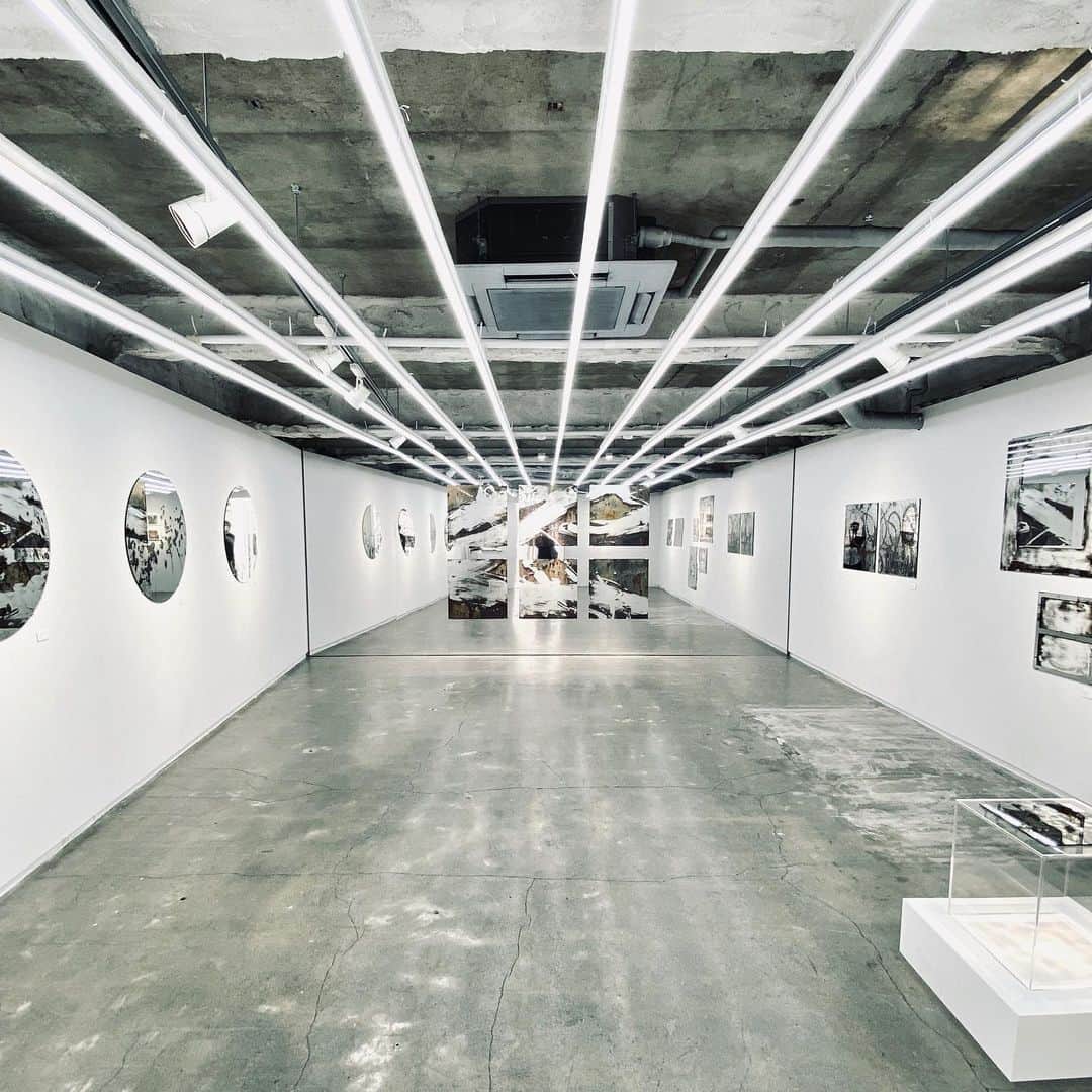 林信行さんのインスタグラム写真 - (林信行Instagram)「#Polyhedron by @HirokOtake starts Aug 31st. @elephantstudiojapan  8月31日から #ElephantStudio で日本画家 大竹寛子さんの個展 「 多面体 — Polyhedron 」が始まります。一足先にプレビューに行ってきました。 大竹寛子さんと言えば思い浮かぶ「花」や「蝶」と言ったモチーフ。  今回はそれがキャンバスの中だけでなく、ギャラリーの外壁、内壁をも埋め尽くしていて、ギャラリーでの個展と聞いて、ホワイトキューブに四角い絵が並べられているのを想像していた人はまずここで圧倒されそうです。  ギャラリーに入ると、壁を埋め尽くす蝶と花のウォールプリントに、プリントの元になった絵がまるで擬態するように飾られています。このエントランスの展示がなんともステキ。他の時間帯ではどう見えたかわかりませんが、ぜひ、晴れた日の日中の光で見て欲しい。とてもステキでした！  そこからギャラリーの奥に進むにつれ、作品のモチーフだけでなく、絵が描かれたキャンバスも丸くなったり、斜めになったりと変化を始めます。 大竹さんの作品と言えばテーマは「流動的な瞬間の中の恒常性」。「蝶よ、花よ」と言われるけれど、そのいずれも常に姿を変えうつろい続けるはかない存在でありながら、姿は変われど変わらない本質もどこかに隠し持っている。 同様にこの個展も、まるで美術館の展覧会のようなパワーを持つ展示で、歩を進めるにつれてどんどん作品が変化していくのだけれど、そのどこかに通底する大竹ワールドを感じます。 そんなことを考えながらギャラリー全体を俯瞰すると、この展示空間全体が１つの巨大作品であるかに見えてきます（いや、実際そうです）。  と、満足していると「実は２階があります」との情報。 階段を昇って２階のギャラリーに足を踏み入れると、そこはまったく別の銀世界。 蛍光灯の寒色系の光と鏡で囲まれた無機質な空間かと思いきや、その鏡が加工され（硫化され）、まるで錆のような色でダイナミックに模様が描かれている。かと思えば、別の作品では上から光を当てて、透過して描かれた蝶の影を楽しめる作品があったりと、まるで２つの個展を楽しんだかのような充実感が… １つ１つの作品も凄いけれど、展示空間としてのまとまりのつくりこみが普通のギャラリーでの個展とは別次元で凄い濃密な時間が過ごせます。  よく蝶々はひらひらと舞うと表現します。おそらく行きたい方向は決まっていて、そちらに進んではいるのだけれど、まっすぐには飛ばずにジグザグと進んでいく。だからこそ見ていて意外性から楽しさを覚える。今回の個展の２つの空間のいずれも、まさにそんな変化し続ける意外性の楽しさが味わえました。大竹寛子さん自身の多面性が感じられる個展。  ちなみに完全に空間ごと作り込まれた今回の個展の主旨からは外れるからと別室にもう１点だけ今回、コロナ禍に描かれた作品が飾られていました。この投稿を見て気になった方は是非、そちらも覗いてみてください。大竹寛子さんの多面体の内側にある、もう１つの愛らしい面が覗いて見えるかも 😉 #多面体 #大竹寛子」8月28日 22時50分 - nobihaya