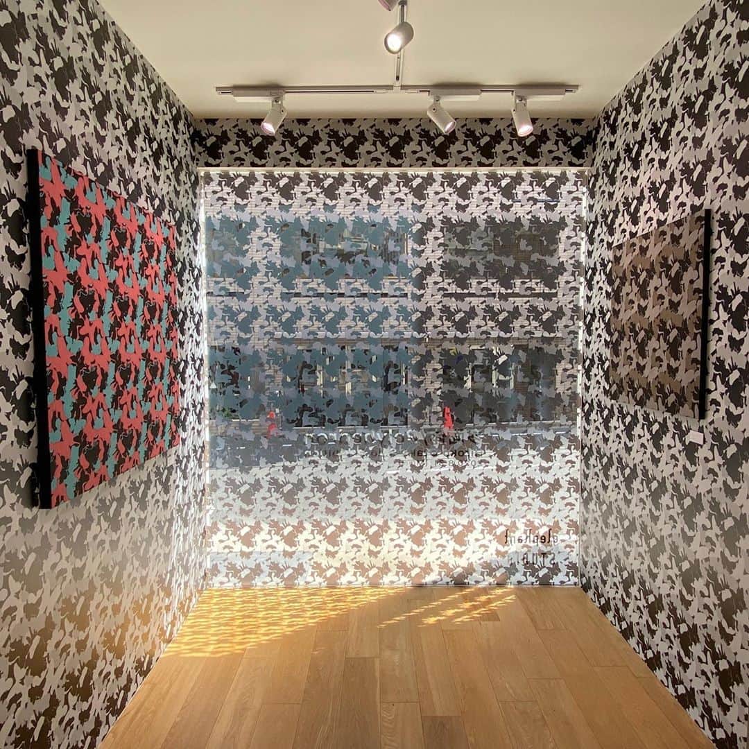 林信行のインスタグラム：「#Polyhedron by @HirokOtake starts Aug 31st. @elephantstudiojapan  8月31日から #ElephantStudio で日本画家 大竹寛子さんの個展 「 多面体 — Polyhedron 」が始まります。一足先にプレビューに行ってきました。 大竹寛子さんと言えば思い浮かぶ「花」や「蝶」と言ったモチーフ。  今回はそれがキャンバスの中だけでなく、ギャラリーの外壁、内壁をも埋め尽くしていて、ギャラリーでの個展と聞いて、ホワイトキューブに四角い絵が並べられているのを想像していた人はまずここで圧倒されそうです。  ギャラリーに入ると、壁を埋め尽くす蝶と花のウォールプリントに、プリントの元になった絵がまるで擬態するように飾られています。このエントランスの展示がなんともステキ。他の時間帯ではどう見えたかわかりませんが、ぜひ、晴れた日の日中の光で見て欲しい。とてもステキでした！  そこからギャラリーの奥に進むにつれ、作品のモチーフだけでなく、絵が描かれたキャンバスも丸くなったり、斜めになったりと変化を始めます。 大竹さんの作品と言えばテーマは「流動的な瞬間の中の恒常性」。「蝶よ、花よ」と言われるけれど、そのいずれも常に姿を変えうつろい続けるはかない存在でありながら、姿は変われど変わらない本質もどこかに隠し持っている。 同様にこの個展も、まるで美術館の展覧会のようなパワーを持つ展示で、歩を進めるにつれてどんどん作品が変化していくのだけれど、そのどこかに通底する大竹ワールドを感じます。 そんなことを考えながらギャラリー全体を俯瞰すると、この展示空間全体が１つの巨大作品であるかに見えてきます（いや、実際そうです）。  と、満足していると「実は２階があります」との情報。 階段を昇って２階のギャラリーに足を踏み入れると、そこはまったく別の銀世界。 蛍光灯の寒色系の光と鏡で囲まれた無機質な空間かと思いきや、その鏡が加工され（硫化され）、まるで錆のような色でダイナミックに模様が描かれている。かと思えば、別の作品では上から光を当てて、透過して描かれた蝶の影を楽しめる作品があったりと、まるで２つの個展を楽しんだかのような充実感が… １つ１つの作品も凄いけれど、展示空間としてのまとまりのつくりこみが普通のギャラリーでの個展とは別次元で凄い濃密な時間が過ごせます。  よく蝶々はひらひらと舞うと表現します。おそらく行きたい方向は決まっていて、そちらに進んではいるのだけれど、まっすぐには飛ばずにジグザグと進んでいく。だからこそ見ていて意外性から楽しさを覚える。今回の個展の２つの空間のいずれも、まさにそんな変化し続ける意外性の楽しさが味わえました。大竹寛子さん自身の多面性が感じられる個展。  ちなみに完全に空間ごと作り込まれた今回の個展の主旨からは外れるからと別室にもう１点だけ今回、コロナ禍に描かれた作品が飾られていました。この投稿を見て気になった方は是非、そちらも覗いてみてください。大竹寛子さんの多面体の内側にある、もう１つの愛らしい面が覗いて見えるかも 😉 #多面体 #大竹寛子」