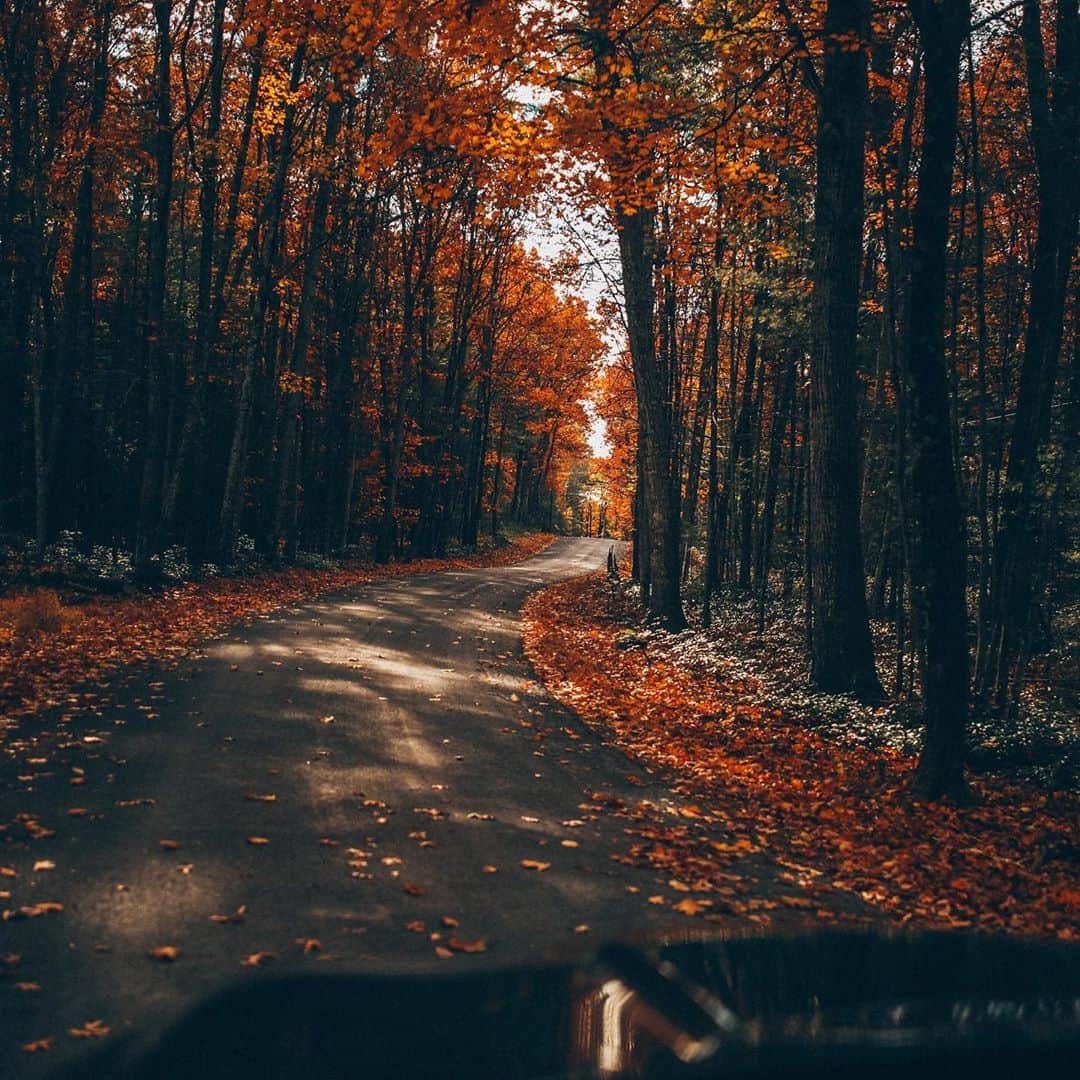 FOLKのインスタグラム：「For me fall is more than just pretty leaves and cooler days. It’s an eternal spirit. It’s an emotion. A state of mind. It’s perfectly captured in the autumn episodes of Gilmore Girls. While putting this issue together I watched the autumn episode of the revival season. Escaping to a world that was an autumn snow globe was called for. Falling leaves, cozy moments, camp fires, plaids, flannels, wools, pumpkin spice, apple pie, pumpkin pie, pumpkins, oh so many pumpkins, apple picking...they were all called for in this autumn issue of @folkmagazine. In today’s world we needed a moment of comfort and escape. I am hopeful that this issue will create just that. The issue releases Sept 15. The pre order is live now. Link in story and profile. (www.folkgeneral.com)」