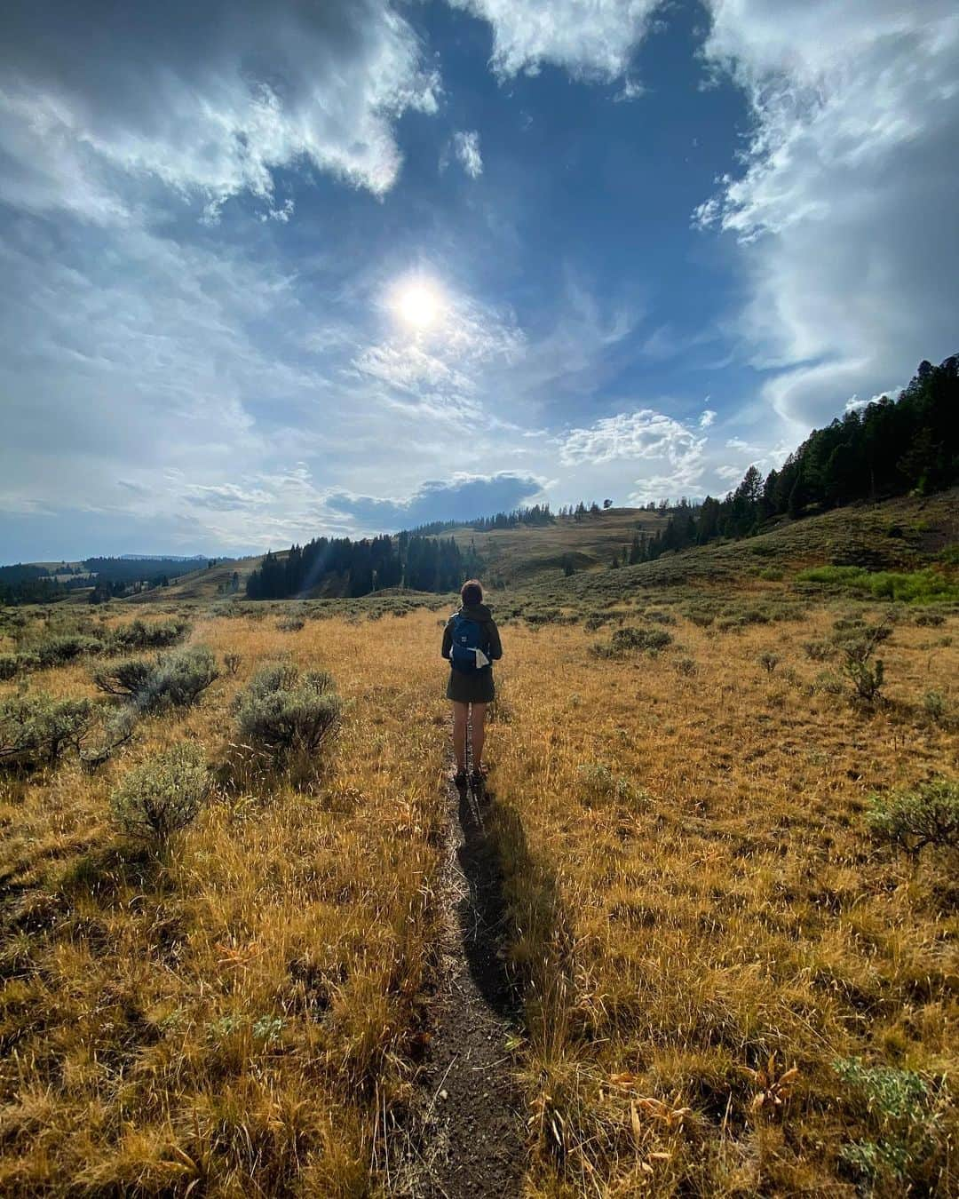 エミリー・スワローさんのインスタグラム写真 - (エミリー・スワローInstagram)「If you need me, I’ll be here wandering.  Ask the bears if they’ve seen me. * * * #yellowstonenationalpark #themountainsarecalling #optoutside #nobearsplease #sepulchermountain #mammothhotsprings #hiking #crosscountry #roadtrip」8月28日 23時33分 - bigeswallz