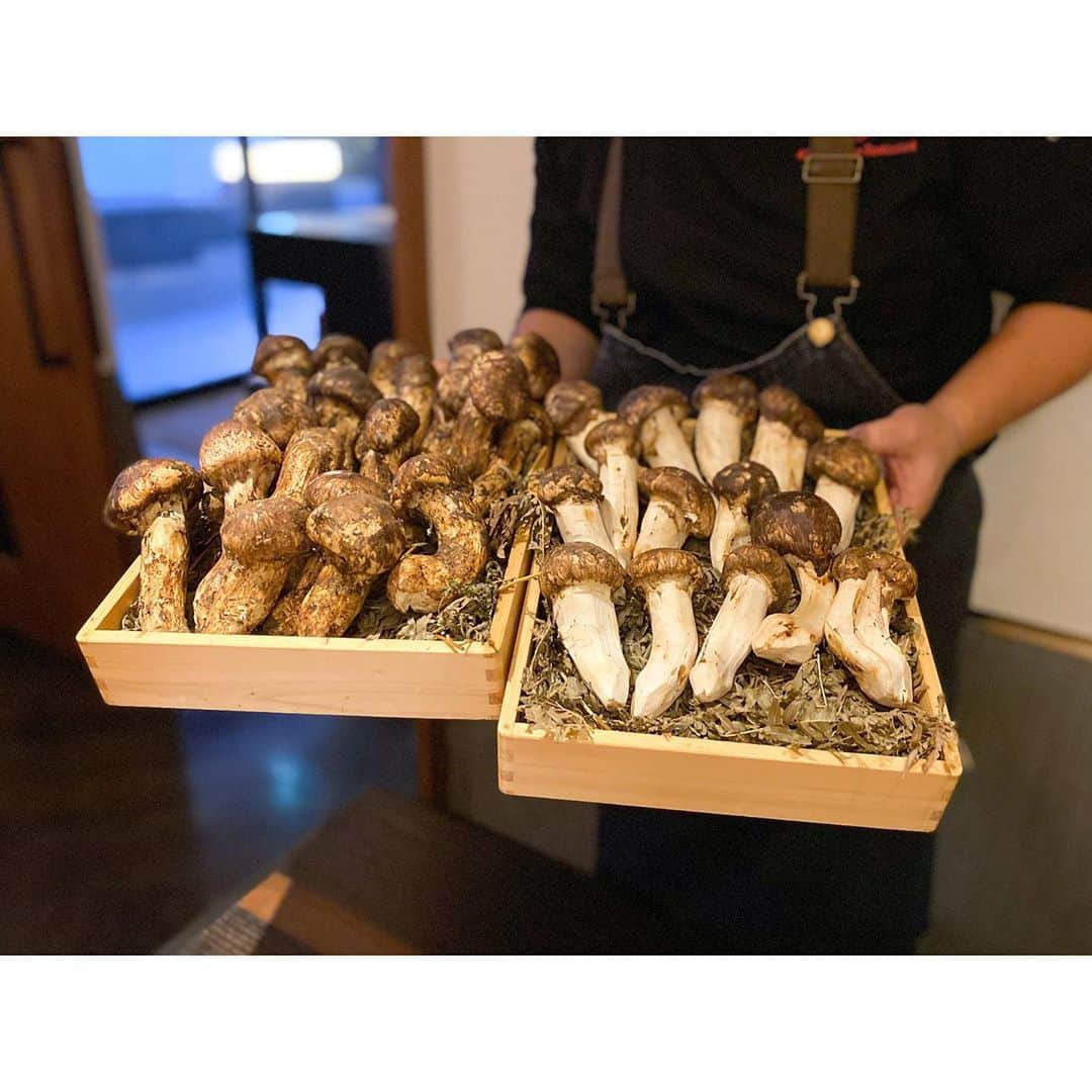 石井美保のグルメインスタ