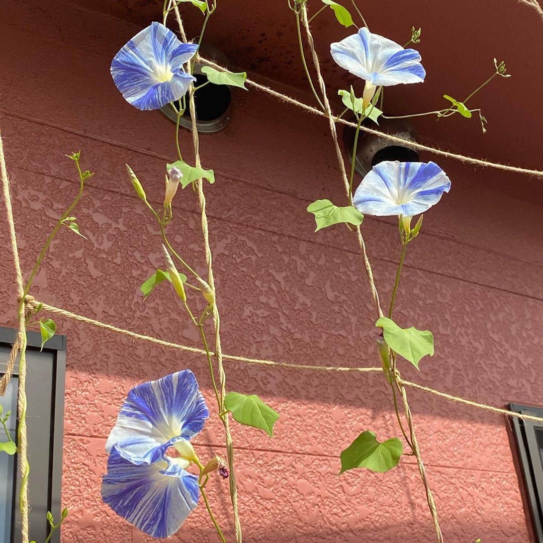 魔女菅原のグルメインスタ