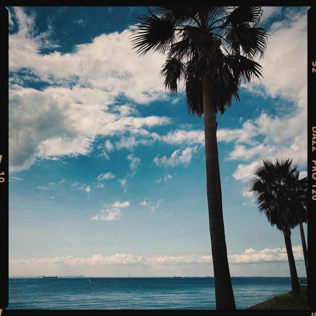 ロンモンロウさんのインスタグラム写真 - (ロンモンロウInstagram)「blue blue🏝いい感じ🦋 ここは袖ヶ浦海浜公園 です いい場所よね  コンバース👟 @popcornkicks_ct70   #袖ヶ浦海浜公園  #千葉」8月28日 15時56分 - ronmonroe_official