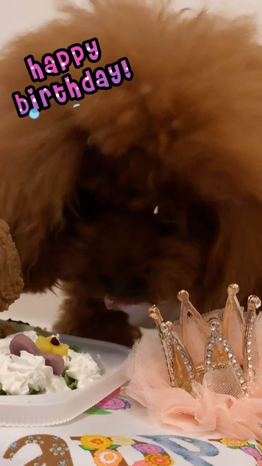 町田亜里香のインスタグラム