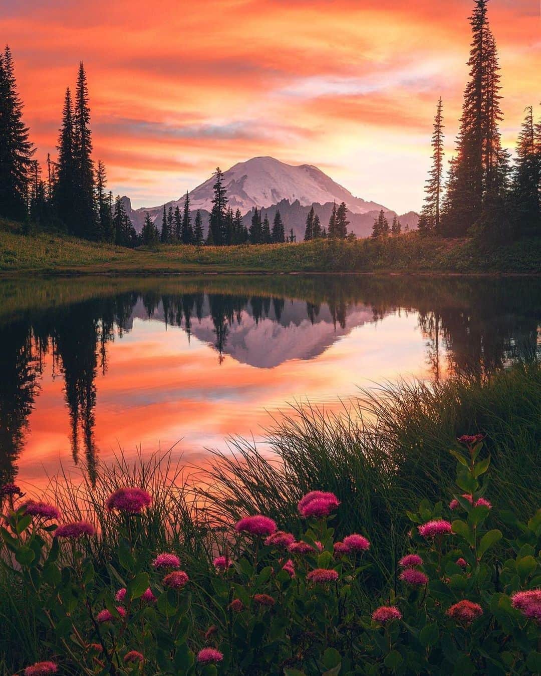 Canon Photographyさんのインスタグラム写真 - (Canon PhotographyInstagram)「What a sunset at Mount Rainier! 🌅  Photography // @neohumanity Curated by @steffeneisenacher  #mountrainier #washingtonstate #mountains #sunsetphotography #reflection」8月28日 17時07分 - cpcollectives