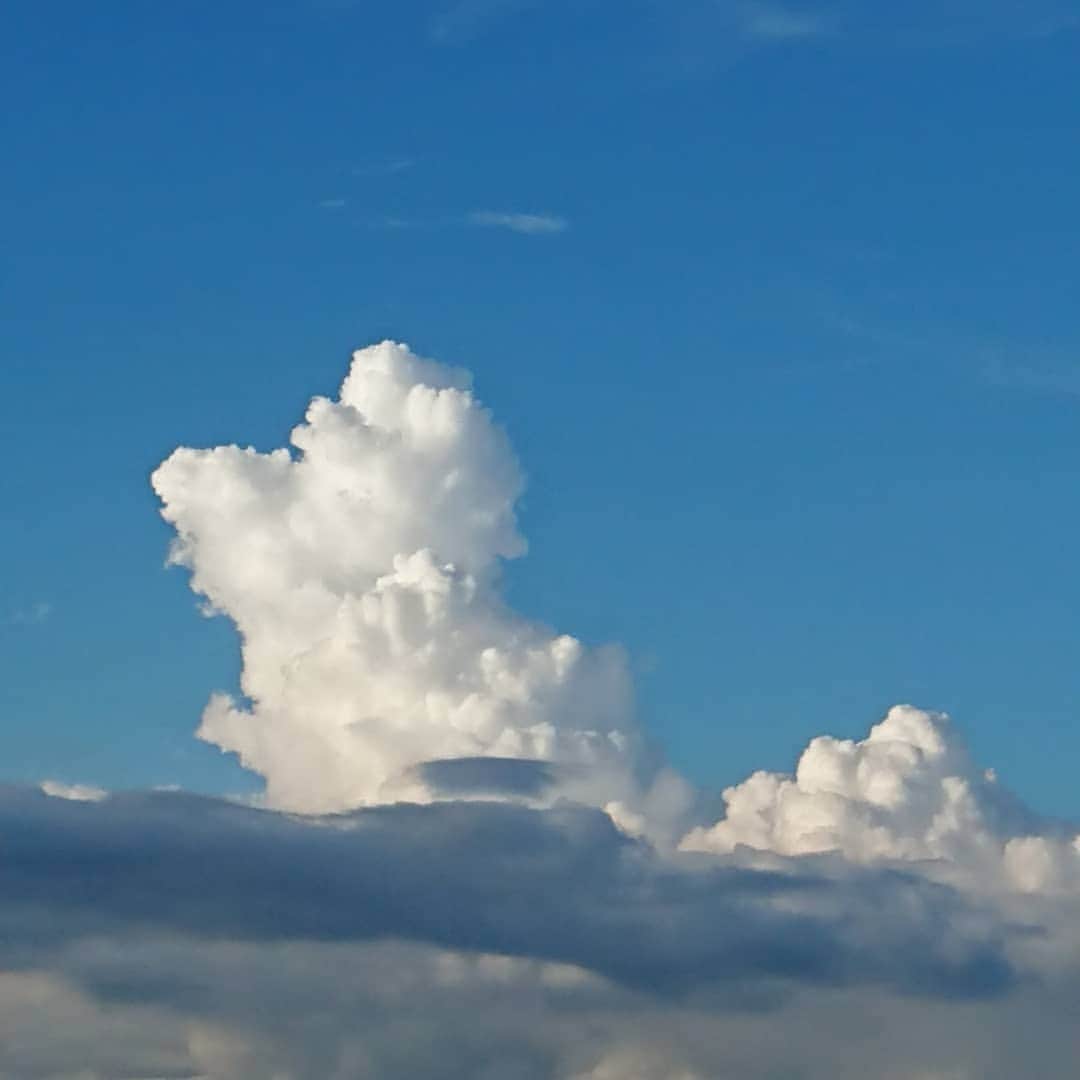 小島奈津子さんのインスタグラム写真 - (小島奈津子Instagram)「2020*8*28 コロナ禍、豪雨災害、オリンピック延期、、上半期だけでも激動の2020年。 また今日も、思ってもみないことが起こる。 ． #夏の空 。ダイナミックで大好き。 でも、この#雲 を見ると、そろそろ夏も終わってしまうんだなぁという、なんとも言えない寂しさも。 子供の頃に戻った気がする。 なんだか、もの悲しい。。 ． #夏の終わり胸がキューンとします #ショッピングモールの屋上駐車場にて😁 #場所は全くロマンチックじゃない😆」8月28日 17時42分 - kojimanatsuko_official