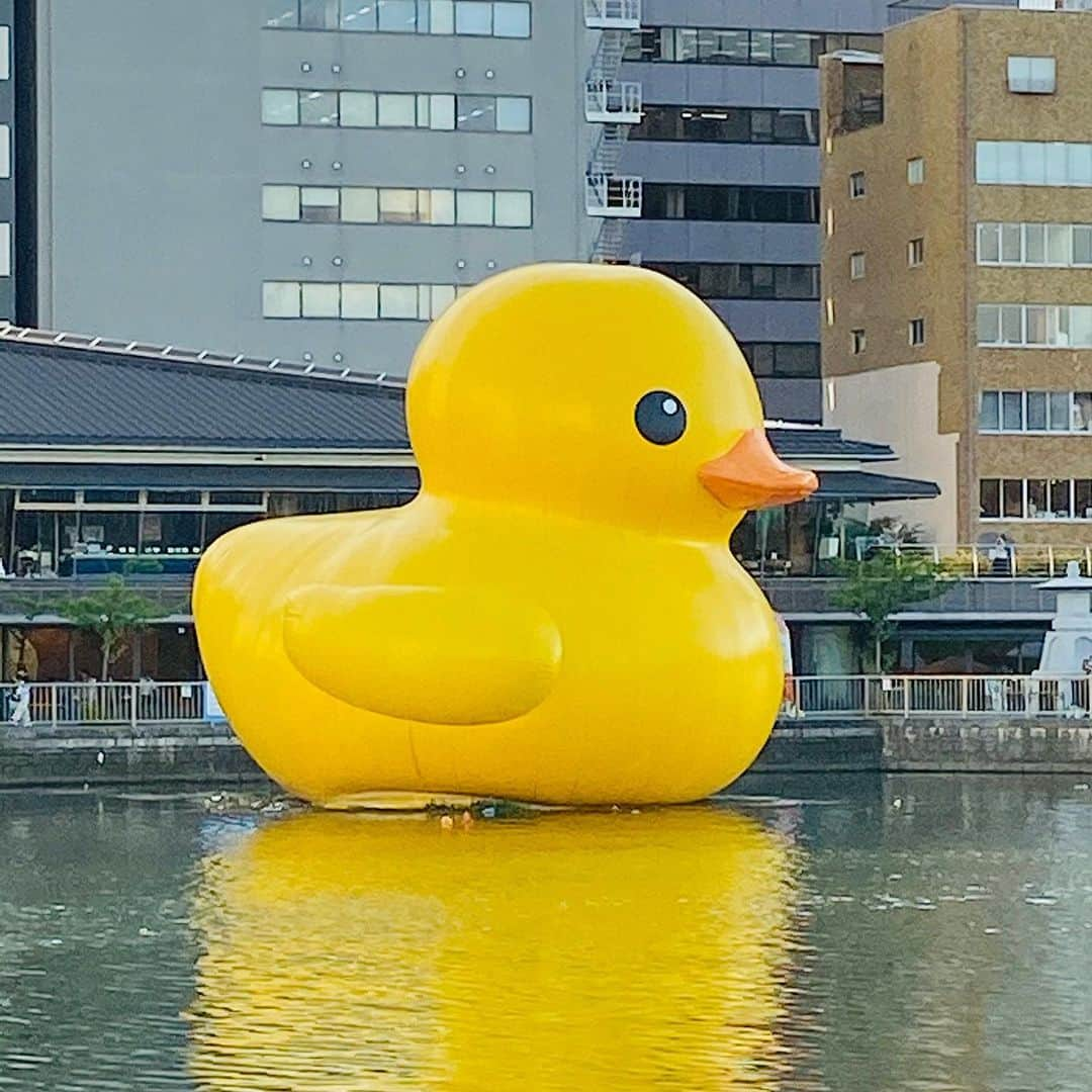 花城アリアのインスタグラム：「可愛いのが浮いてた🐤❣️ 今月31日までいるそうです 炎天下の中お疲れ様でした💕 と言ってあげたい　笑  #loverduck 💕じゃなくて #rubberduck  ゴムのアヒルなのね🐤　現実味！😆笑」