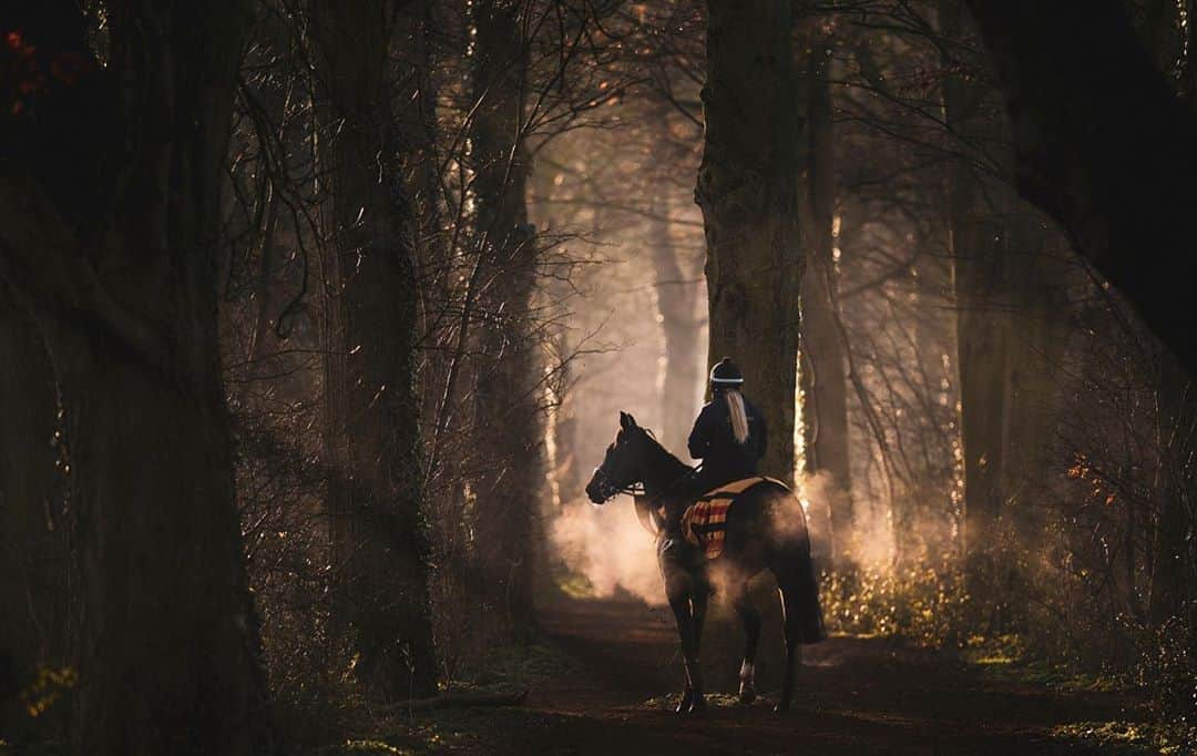 Fujifilm UKさんのインスタグラム写真 - (Fujifilm UKInstagram)「FEATURED PHOTOGRAPHER OF THE WEEK  Finishing off the week with this final image taken on the pathway to Newmarket Gallops Southfield Canter, @hoycubed_photography explains how the light was diminishing rapidly. Just as he was about to give up a string of beautiful horses appeared!   “As the horse was led through the trees into the light, the steam coming off the horse was perfectly lit from the low sun.”   Don’t forget to have a look at more of our featured photographer John Hoy’s images through his channels and be sure to give him a follow!   #XT3 XF200mmF2 R LM OIS WR F2.0, ISO 320, 1/1600 sec  #XSeries #FujifilmXT3 #Fujfiilmx_uk」8月28日 18時46分 - fujifilmuk