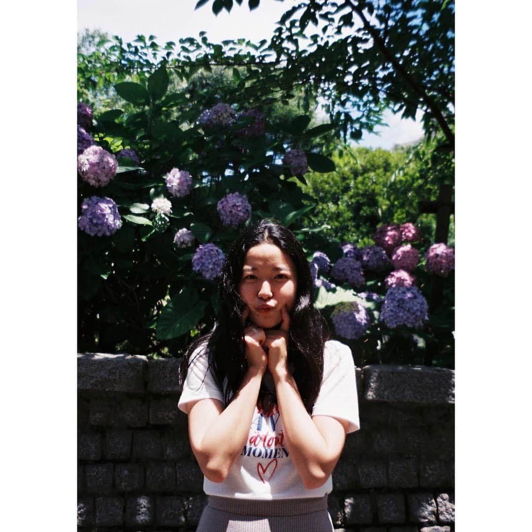 のインスタグラム：「今回の現場で共演した子供達が私の名前を知っててものすごく嬉しかった! 　「藤野さん!」って呼んでたみたい笑「涼子」って呼び捨てにしていいんだぞ〜 　よーし、元気もらったから明日からまた頑張ろうっ  #filmcamra #あじさい」