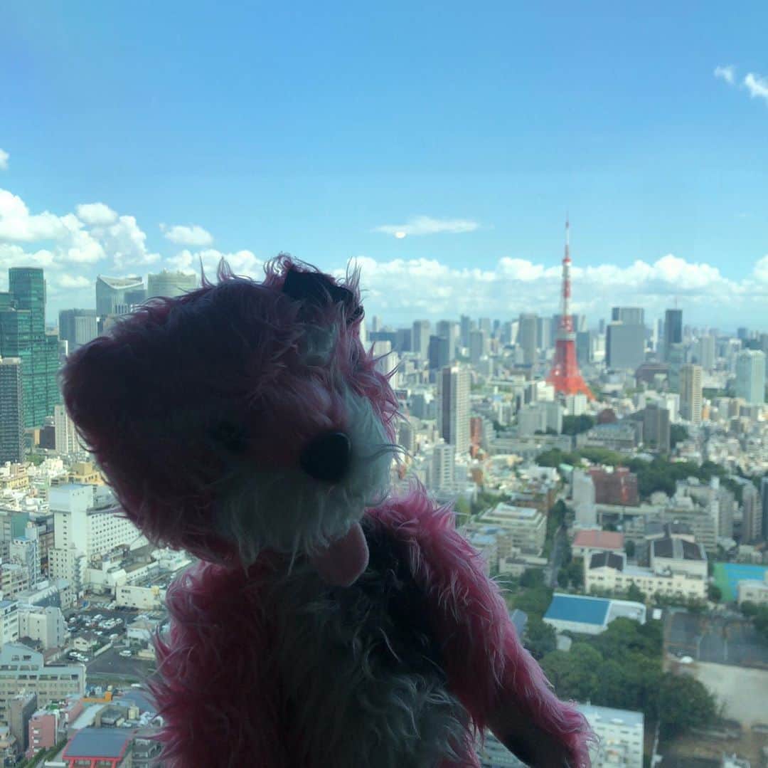 阿部洋子のインスタグラム