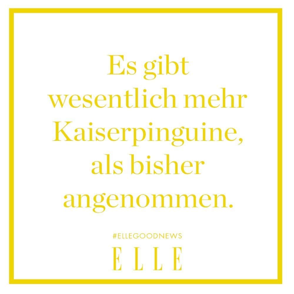 ELLE Germanyのインスタグラム