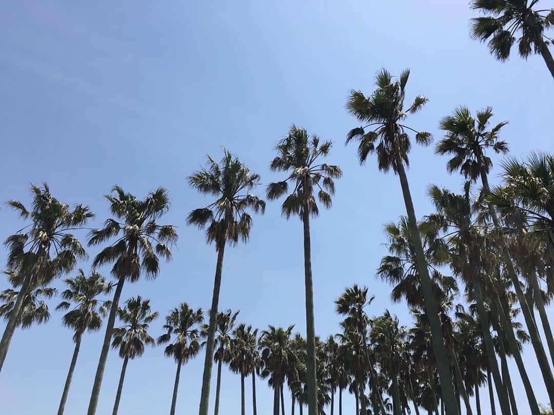 恵里花のインスタグラム：「来年こそは笑顔で 思い切り夏を満喫できたらいいな🌴」