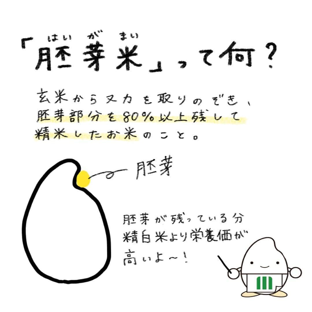 ミツハシくん-Mitsuhashi Rice-さんのインスタグラム写真 - (ミツハシくん-Mitsuhashi Rice-Instagram)「胚芽米の特徴についてご紹介（・u・）🌾 * 胚芽米は胚芽が残っている分、精白米に比べて栄養価が高いお米だよ～！ * ぼくも大好きな「胚芽が大きな胚芽米」は、一度食べたらハマっちゃうおいしさ♪もちもち＆ぷちぷちの食感をぜひ試してみてね～✨ * #胚芽米 #胚芽の大きな胚芽米 #おしえてミツハシくん #おにぎり #ミツハシくん #米知識 #ミツハシライス #おにぎり #手書き文字 #おにぎり部 #rice #riceball #germrice #mitsuhashirice」8月28日 19時38分 - 3284rice