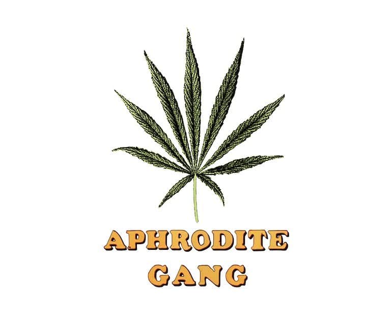 舐達麻のインスタグラム：「WACKOMARIA × APHRODITEGANG   @wackomaria_guiltyparties  @paradisetokyo_wackomaria」