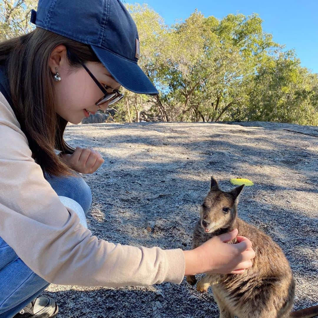 平井はんなのインスタグラム：「. 明日で私の約1年間のオーストラリア生活が終わります🇦🇺 2019.09.07に日本を出発して まさか,世界がガラッと変わってしまう年に 一生のうちの1年しか取得できない オーストラリアでのワーキングホリデービザの期間が 重なるとは思いもしませんでした. コロナウイルスの影響もあり 思うような1年間にはならなかったかもしれないし ずーっとお家にこもることしかできなかった自粛期間は 自分オーストラリア来てまで何してるんだろう って考えながら自炊の腕を上げることしかできなかったし それでもなんだかんだ楽しくて自分にとっては とっても大きな1年だったと思います! 10代最後の1年間を日本とは違う場所で過ごせて オーストラリアでしか見られない景色に出会えて なんだかんだどんな場所に行っても 本当に素晴らしい人たちに囲まれてしまうという 自分の人生の中で1番幸せなことを再確認することができて 本当に本当にいい1年でした! 辛い時にはみんなが送ってくれるDMに目を通して '頑張ってね'とか'応援してるよ'とか '今日こんなことがあったんだよ〜'とか そんな言葉に何度も助けてもらいました☺︎ 1年間本当にありがとう❤︎ .」