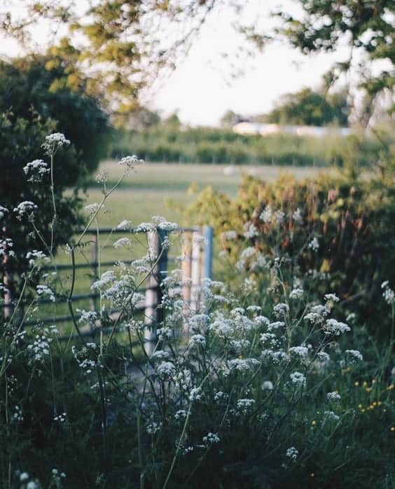 バネッサ・ブリューノさんのインスタグラム写真 - (バネッサ・ブリューノInstagram)「Se ressourcer en pleine nature.⁠⠀ ⁠⠀ Recharge your batteries in the great outdoors.⁠⠀ ⁠⠀ #vanessabruno #inspiration #inthecountry #takemeback ⁠#englishcountryside⁠」8月28日 19時57分 - vanessabruno