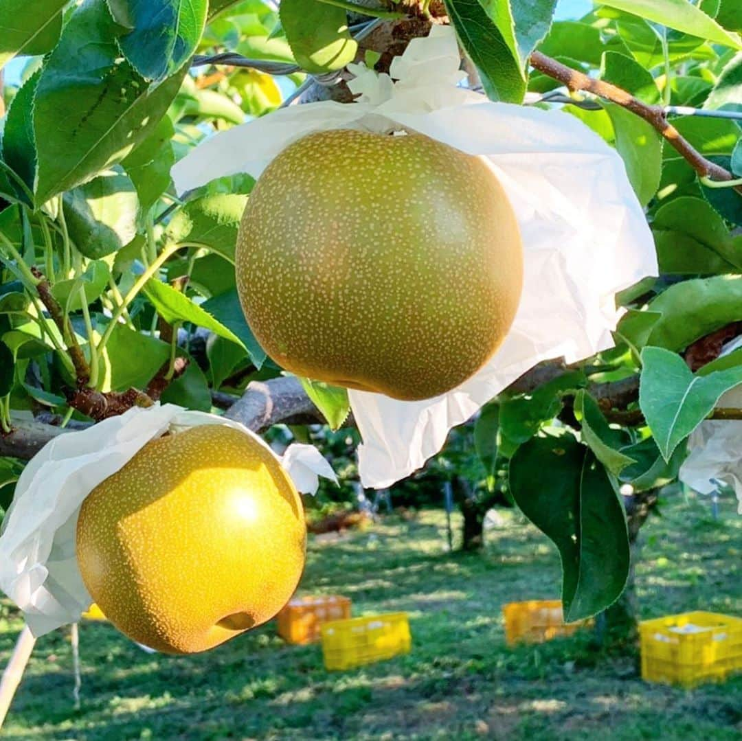 菅野広恵のインスタグラム