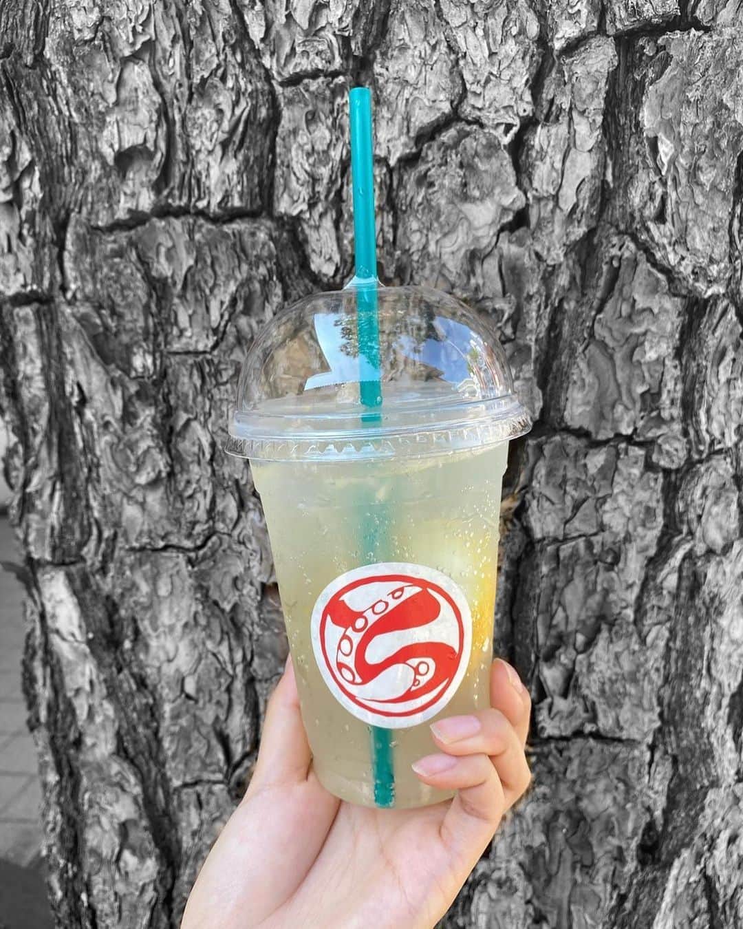 田中皓子のグルメインスタ