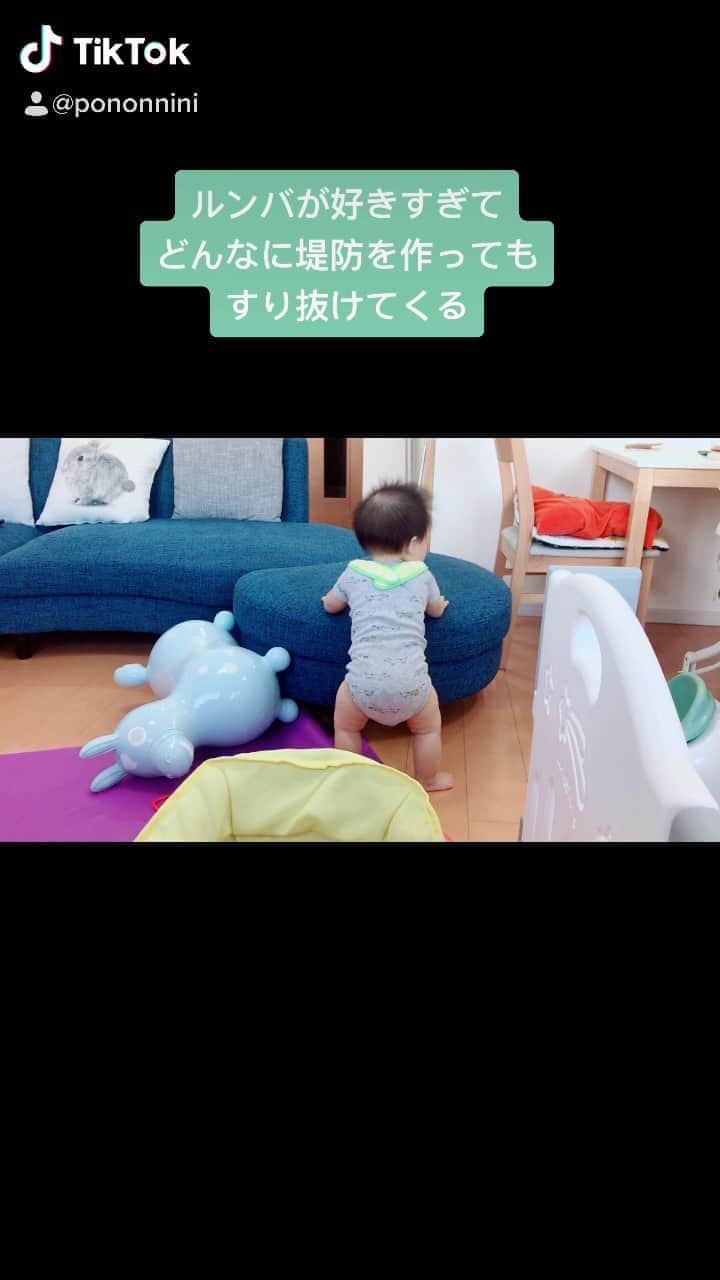 野口綾子のインスタグラム