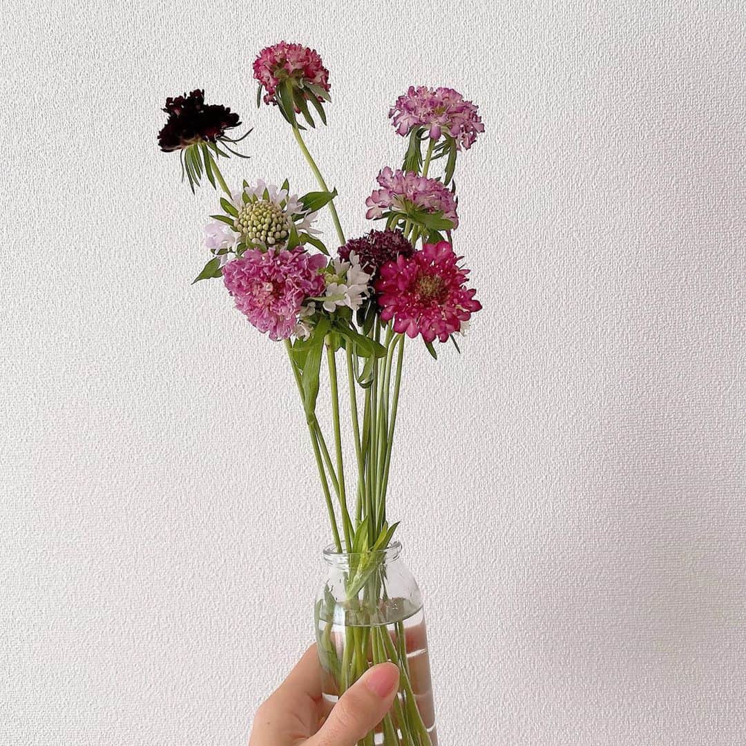 武藤乃子のインスタグラム：「💐 我が家のお花の写真、ストーリーじゃなくて、たまにはポストで残していこう。  #花のある暮らし  #花のある生活  #お花のある暮らし  #お花のある生活  #生花」