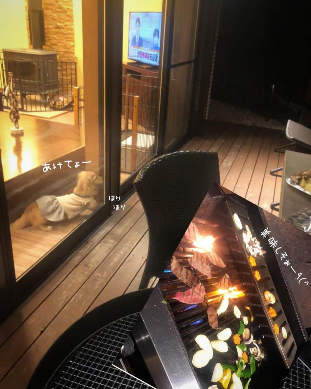 チズさんのインスタグラム写真 - (チズInstagram)「この時期 毎年BBQ🍖してたけど 今年はぉ預けですねぇー😂って事で いつかのBBQ pic📸❤️ 来年はぉ肉🍗 たらふく食べよー🐶💕 機嫌なおして🐶❣️ #ネスタリゾート神戸  #グランピング#BBQ #犬とお出かけ #旅は犬連れ #近場でバカンス  #Mダックス#ダックス#ミニチュアダックス #親父犬#シニア犬#ミニチュアダックスフンド #ミニチュアダックスクリーム#短足部 #短足犬#カニンヘンダックス #ダックス14歳#カニンヘンダックスフンド#犬は家族#犬のいる生活#シニアライフ#インスタでわんこみるのが日課 ♡♡」8月28日 22時17分 - sqi.chizu