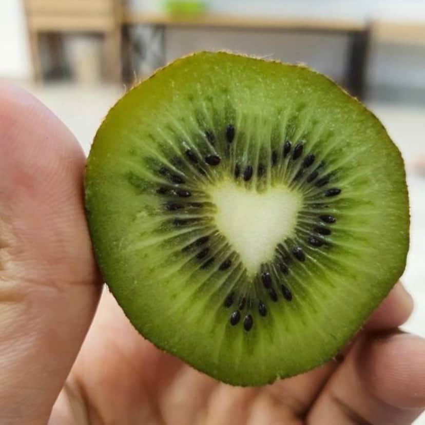 uglyfruitandvegのインスタグラム：「‪Spread Kiwi Love! 💛🥝 Or any love for that matter.... ❤️🧡💛💚💙💜🖤💗 Pic by @al_matar ‬」
