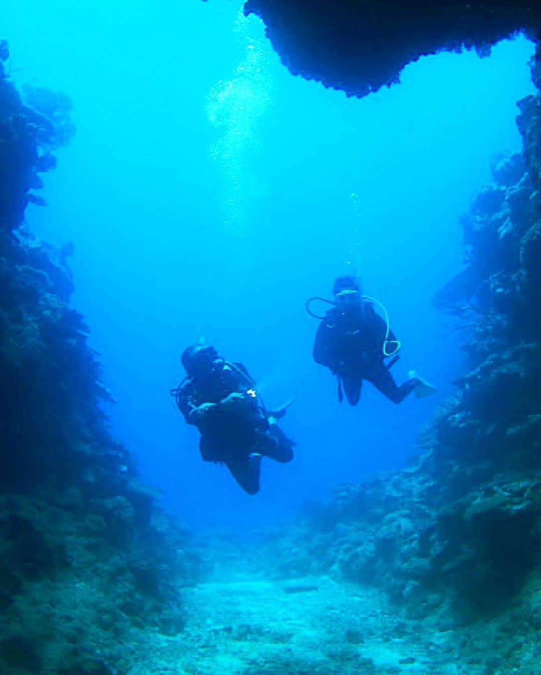ケリーさんのインスタグラム写真 - (ケリーInstagram)「2018年 @divermag と一緒に ニューカレドニアで潜った時の写真🤿 ・ 今年は綺麗な海で、ダイビングして 見たことがない海の生き物達を見に行くって 企画していました、🥺💙 ・ 今年は海外行けなかった分は来年いっぱい旅して、 いろいろところで潜りたい🐳🐬🐟🐠 ・ 2018 Scuba Diving in New Caledonia 🇳🇨  With @divermag  ・ I miss so much swimming in the ocean  and scuba diving 🤿😭🥺 ・ I can’t wait for next year to travel and  scuba diving to explore the marine life 🐳🐬🐟🐠 ・ Photo @kentaro_hosoda  ・ #scubadive#newcaledonia#divemagazine#スキューバダイビング#ニューカレドニア#ダイビング#ダイビング女子」8月29日 8時53分 - kellymisawa