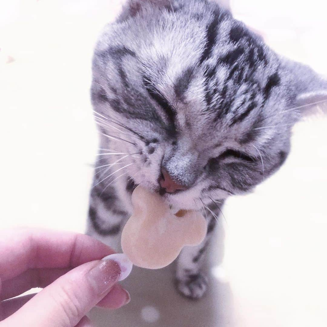 宇咲美まどかのインスタグラム：「暑🍧」