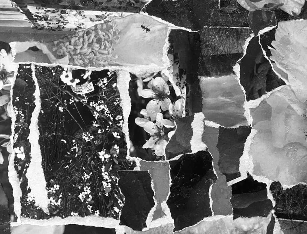 Dribbbleさんのインスタグラム写真 - (DribbbleInstagram)「Tear, Place, Glue by Ryan Arruda ⠀ ⠀ #dribbble #design #collage #paper #photography #dribbblers」8月29日 2時05分 - dribbble