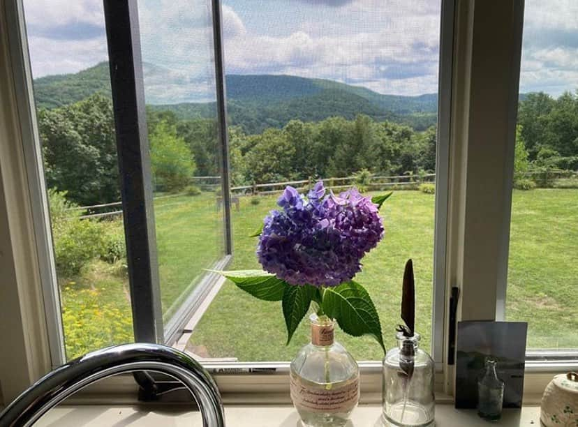 クリス・ノースのインスタグラム：「Oops! Sorry about that ladies and gentlemen. I meant... one last Hydrangea from the garden before the fall-」