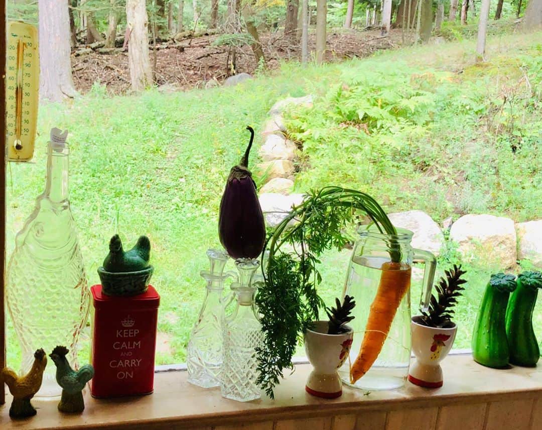 ブライアン・オーサーのインスタグラム：「#kitchen-window」