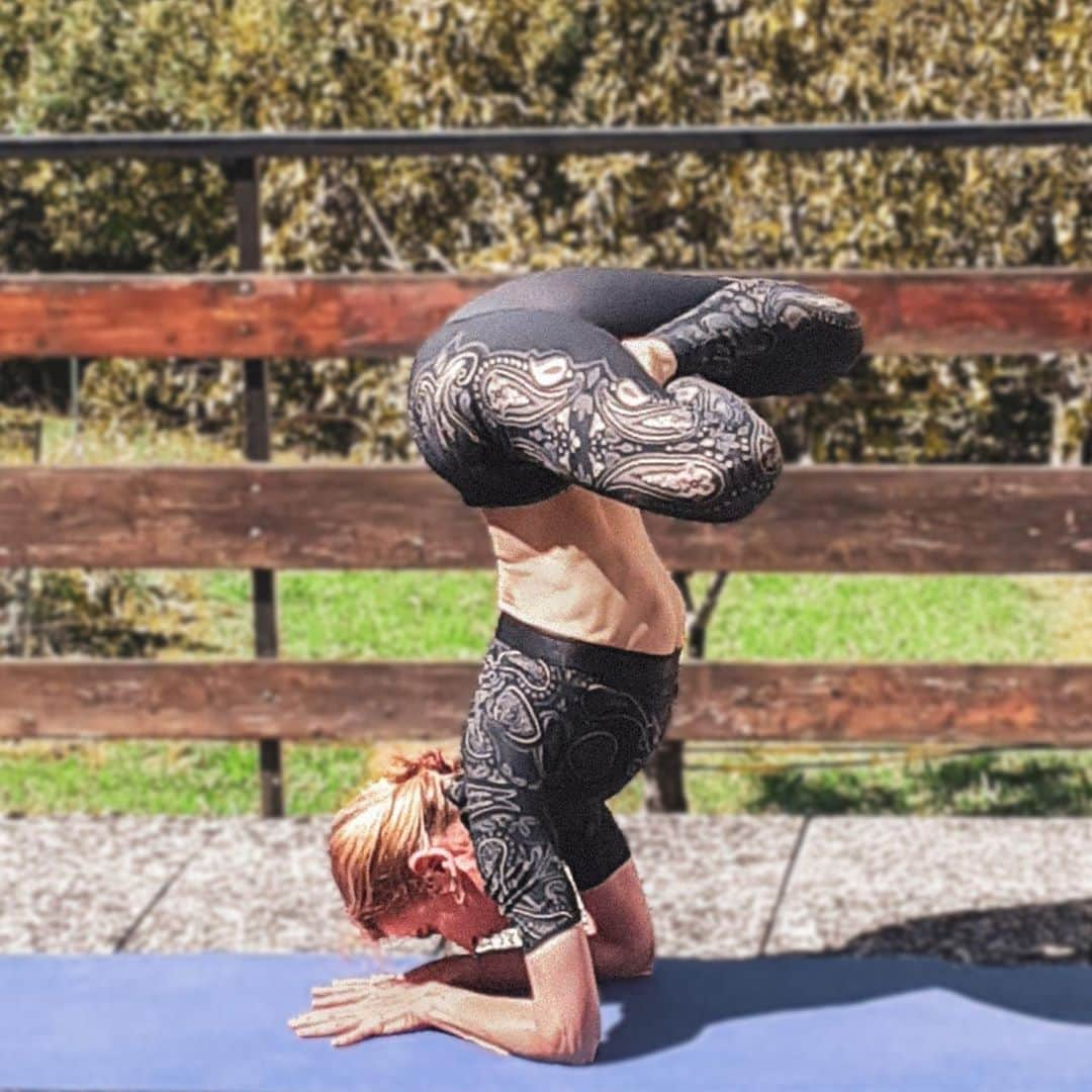 ウォルフォードさんのインスタグラム写真 - (ウォルフォードInstagram)「Karandavasana or the Himalayan Duck is part of the Intermediate Ashtanga Series, a combination of the Feathered Peacock Pose, Baby Crow Pose and Lotus Pose.⁠ ⁠ @francydecet No yogis were harmed in the making of this pose! 🧘🏻‍♀️🤩👌⁠ ⁠ ⁠#WolfordYoga #WolfordYogi #Yogaeverydamnday #yogalove #namaste #yogainspiration #yogaeverywhere」8月29日 3時01分 - wolford