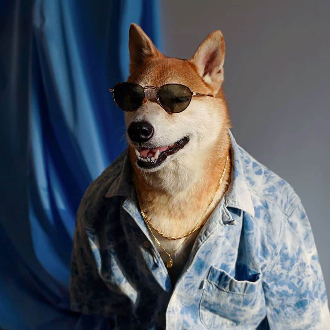 Menswear Dogのインスタグラム：「And on the fifth weekday, Dog said,  "Let there be Chill" ☁️」