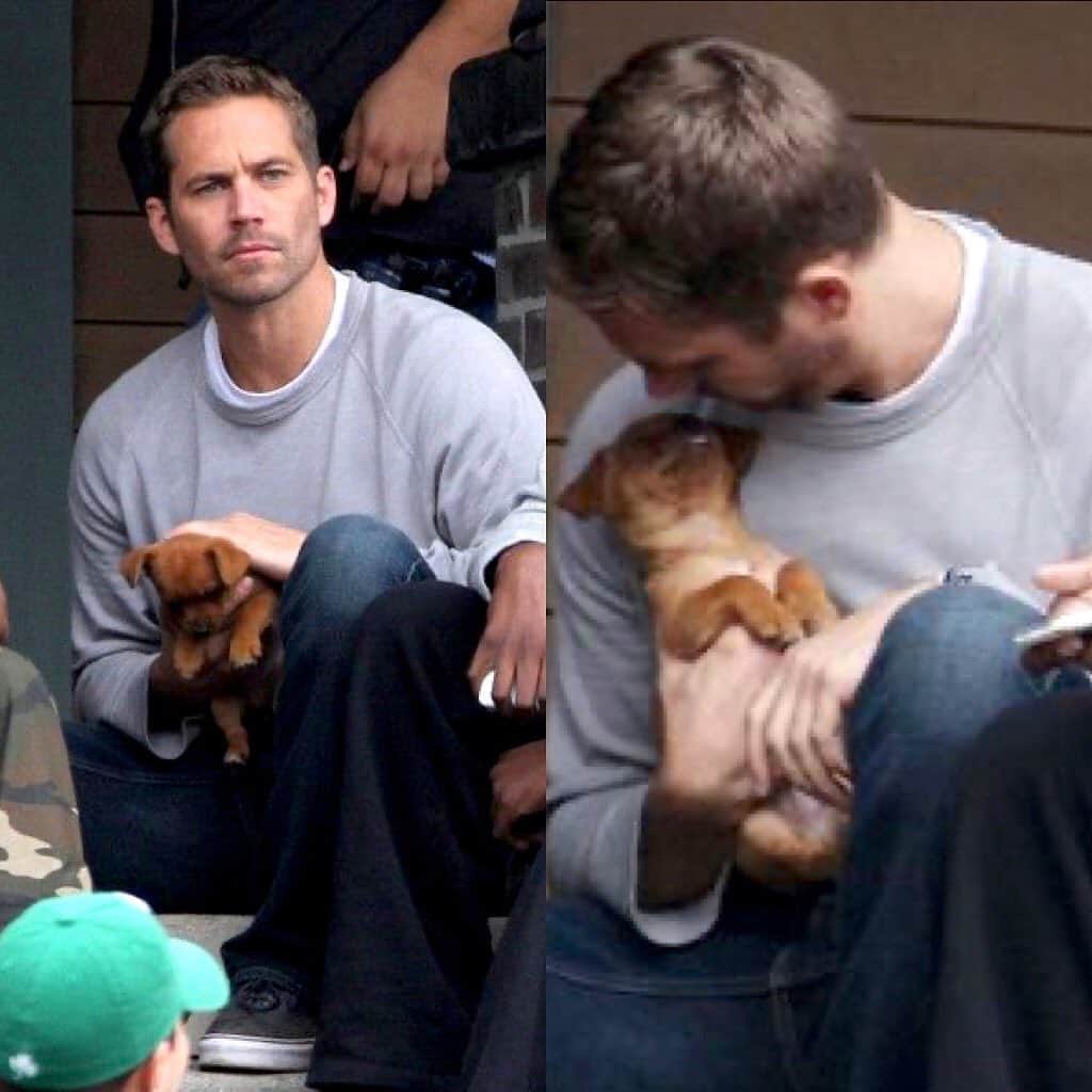 ポール・ウォーカーのインスタグラム：「Timeline cleanse. 🐶 #FastandFurious6 #BTS #FBF⁣ ⁣ #TeamPW」