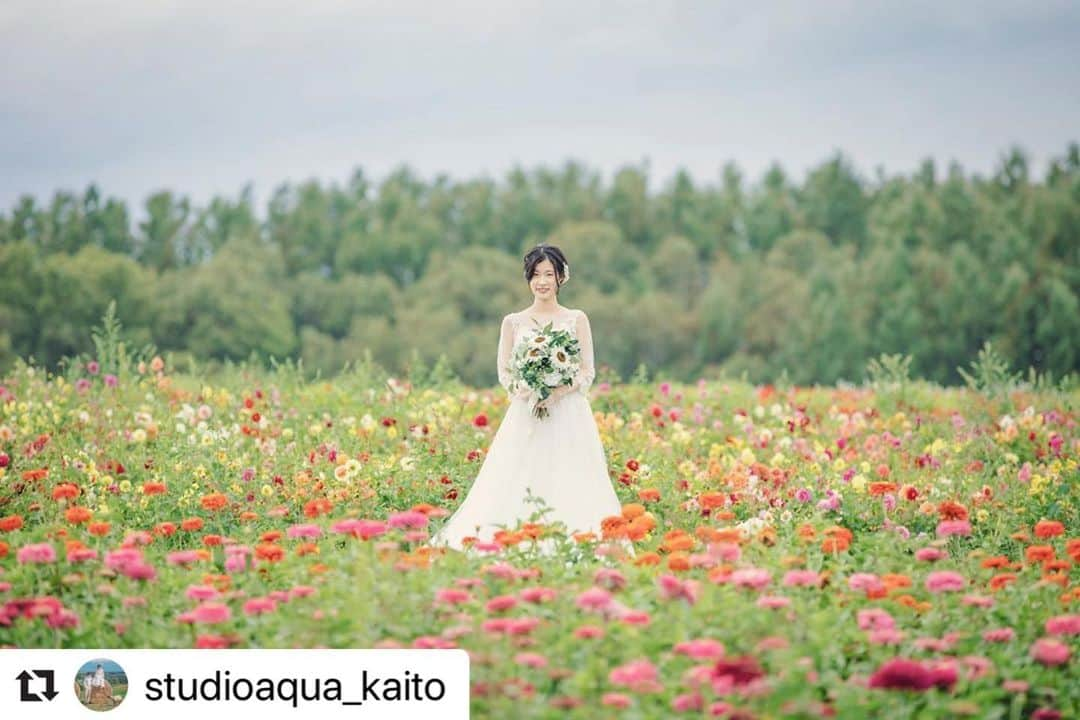 STUDIO SOLAさんのインスタグラム写真 - (STUDIO SOLAInstagram)「#Repost @studioaqua_kaito with @make_repost ・・・ 一面のお花畑だけど、緑もちゃんと入ってるのが可愛いですよね？！﻿ ﻿ ------------﻿ ❁Photographer﻿ @studioaqua_kaito﻿ -------------﻿ ﻿  #ウェディングドレス #スタジオアクア浅草店 #北海道メディア  #後撮り #スタジオアクア #weddingphoto #wedding #ウェディングフォト #結婚写真 #フォトウェディング #ウェディングヘア #ウェディングヘアスタイル #結婚式コーデ #ロケーション撮影 #前撮り #花嫁準備 #花嫁コーディネート #ウェディング #卒花嫁#結婚準備 #花嫁  #撮る結婚式　#tokyocameraclub #hueart_life #cherish_photo_days #indy_photolife #good_portrait_world #lovers_nippon_portrait #カップルフォト」8月29日 6時52分 - studiosola_hokkaido