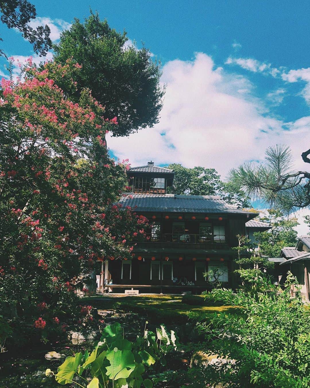 竹内アンナのグルメインスタ