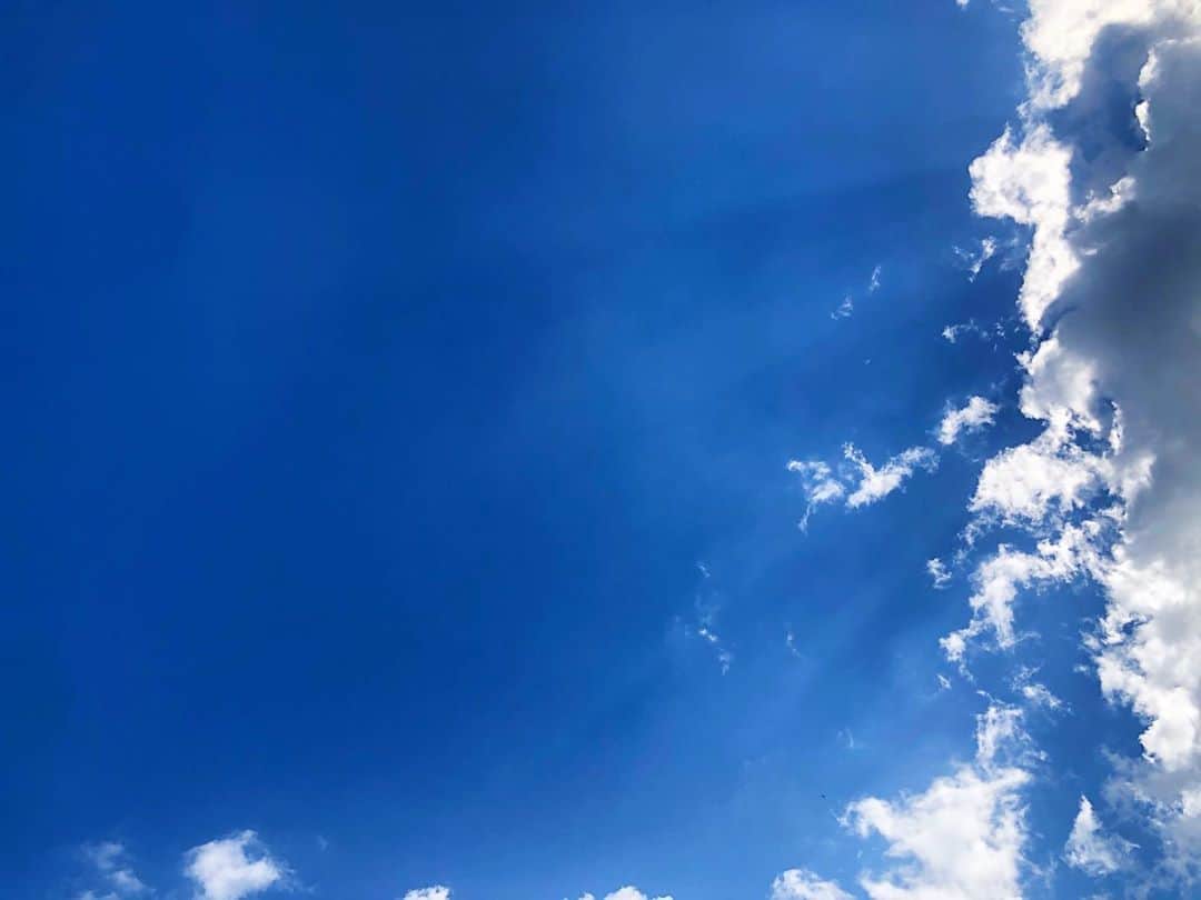 のインスタグラム：「夏か！！！！！ってツッコミたくなるような空だな。 夏やけど。 夏の終わりなんかな？ いや、もうしばらく続くかな？ #夏 #夏の空 #夏生まれ #雲の形を何かに例えて絵を描いてるひとすごいよなぁ #絵の才能 #夏の終わり」