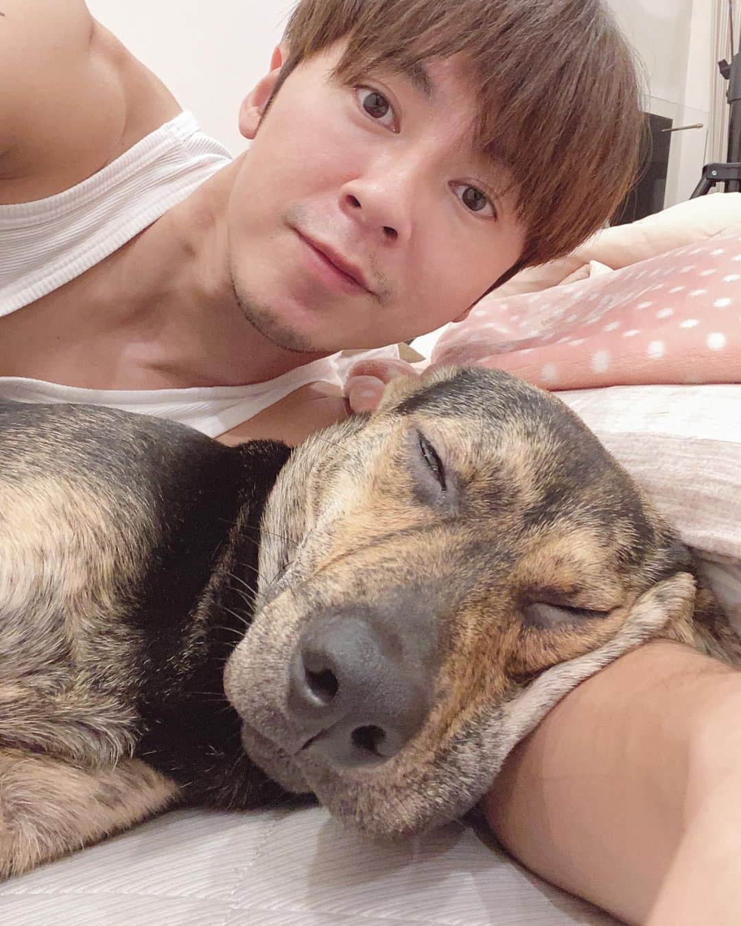 のインスタグラム：「滿七個月的小狗狗了喔耶 耍吠🐶」